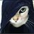 Eulogio Mendez Jr.'s profile image