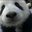 $h3rl0ck's profile image