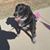 Stacy Lyons's profile image