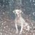 Kimberly Squires's profile image