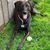 Sherrie Hartman Frohnapfel's profile image