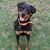Teresa Richeson's profile image