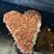 Stephanie Woodworth-Draper's profile image