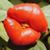 Maureen Villiers's profile image