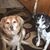 Roxanne Clement's profile image