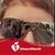 Barb Youngblood Pitcavage's profile image