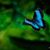 涂貼貼's profile image