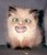 Karla N.'s profile image