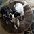 Scott Burge's profile image