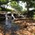 Debbie Clark Hutchison's profile image