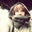 Tessa MacDuff Pupius's profile image