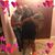 Tyree P Henderson's profile image