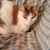Christina Goosey's profile image