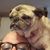 Traci Leann Hugle's profile image