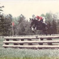 Marita Willoughby's profile image