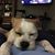 Rosemary Craig Tempesta's profile image