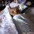 Susan L Taggart's profile image