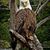 Ken Beaver's profile image