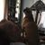 Jean A. Tremonte's profile image