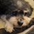 Suzanne Kellom's profile image