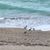 Linda Hughen Glotfelty's profile image