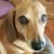 Moab Barkery's profile image
