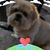 Jo Ann Robinson-Hastings's profile image