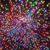 David Orrego Lopez's profile image