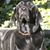 Scott Bardwell's profile image