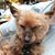 Martha Leora Nick-Stutsman's profile image