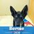 Diana Martinez's profile image