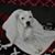 Sheila Humphrey-Craig's profile image