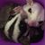 Sarah Allen-Jackson's profile image