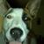 Mary Greene's profile image