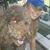 Jen Snyder's profile image