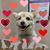 April Soppa's profile image