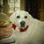 Lisa Wohlfert Aleman's profile image