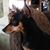 Lloydene Blankenship Weiks's profile image