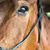 Brandi Harrison McDonald's profile image
