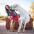 Gina Mure''s profile image