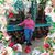 Samantha Rusek's profile image