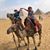 Phyllis McIntosh Bluhm's profile image