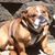 Rebecca Rusilko Mathers's profile image