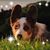 Annegret Sellers's profile image