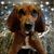 Krista Jones's profile image