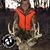 Jacob J Mollus's profile image
