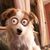 Steven Cunningham Sr.'s profile image