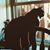 Jesse D. Martin's profile image