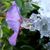 Vallery LaBarre's profile image