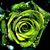 Michelle Fancher's profile image